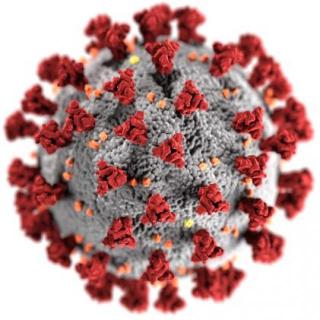 All about covid-19 virus